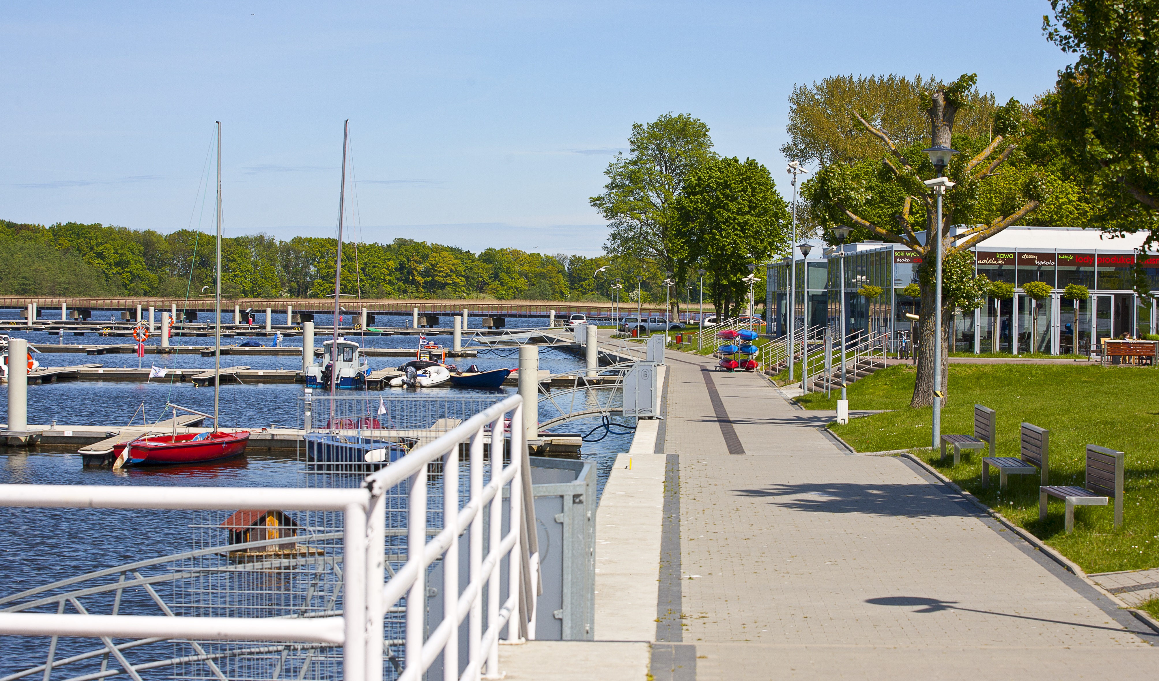 kamien12
